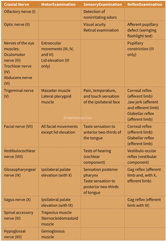 Glossopharyngeal Cranial Nerve Test